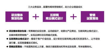 掌握市場(chǎng)營(yíng)銷與經(jīng)濟(jì)貿(mào)易咨詢 雙軌并進(jìn)的專業(yè)發(fā)展指南